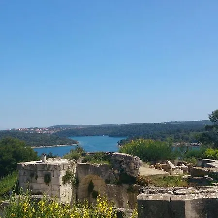 Ellas Ližnjan